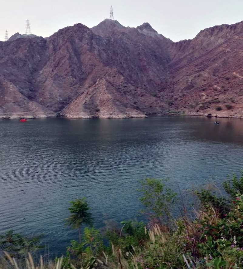 A majestic castle surrounded by palm trees, with a flag proudly waving atop its towers Fujairah Fort