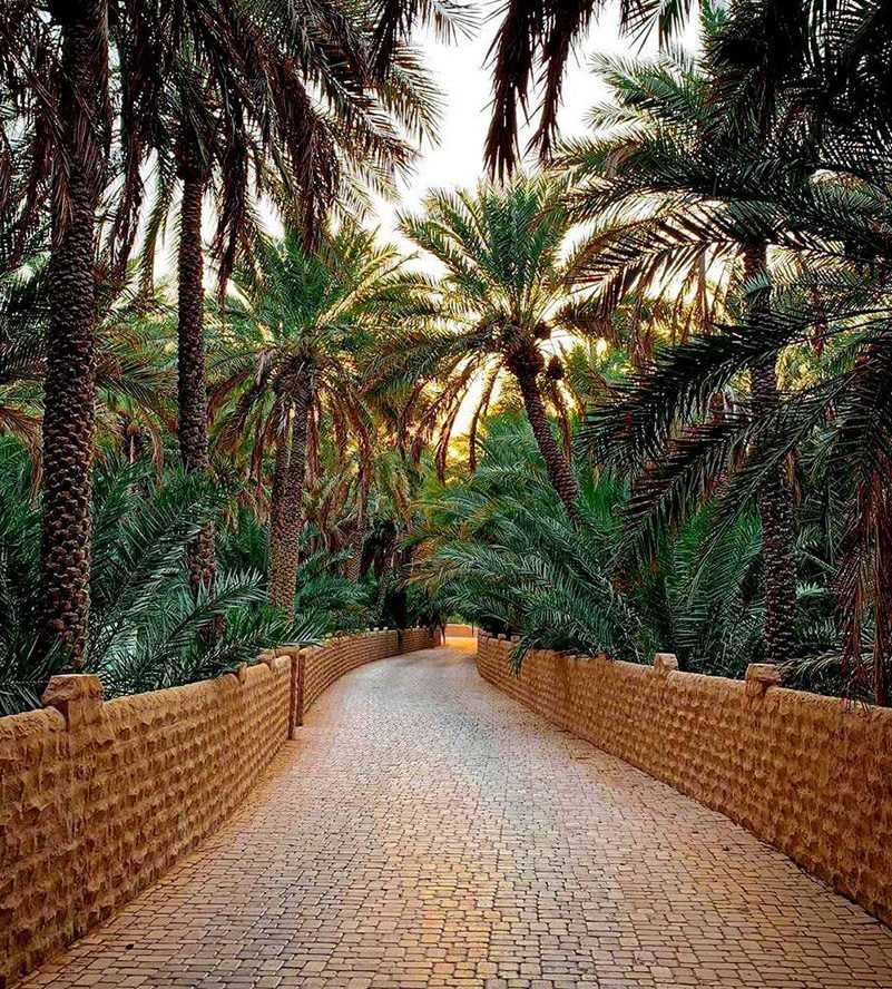 A man kindly offers food to a woman and another man oase Al Ain()