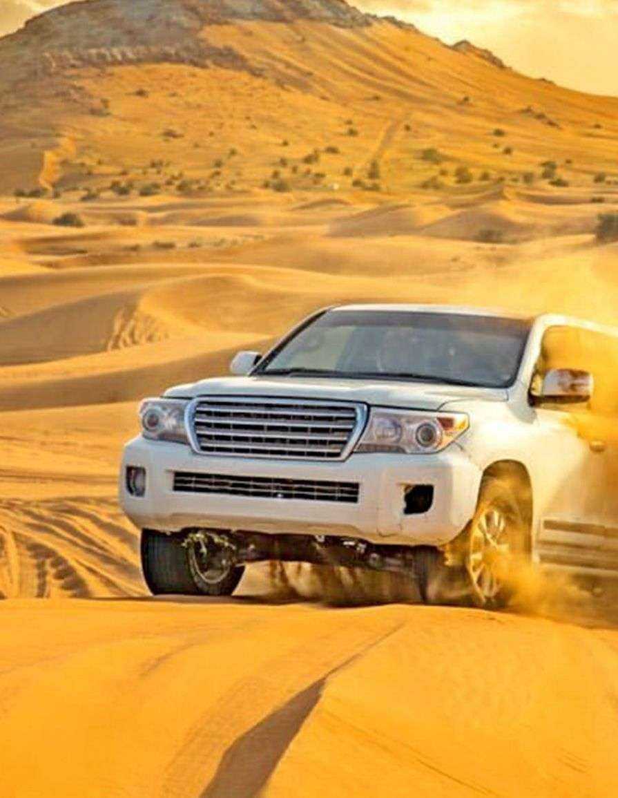 Sanddünen in der Wüste von Abu Dhabi – aufregende Wüstentour mit Your Dubai Guides.