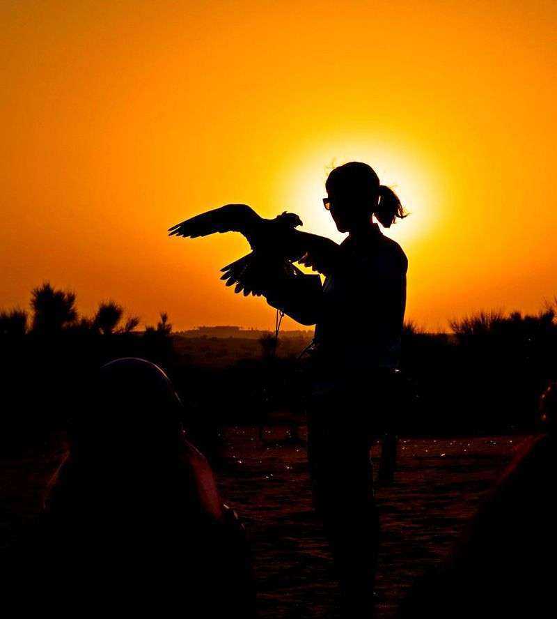 A woman gently cradling a bird against the backdrop of a breathtaking sunset Dubai