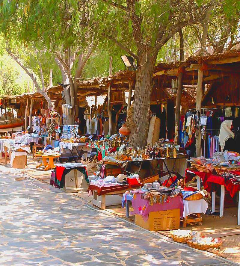 Abu Dhabi vibrant tree adorned with numerous leaves, showcasing the beauty of nature's foliage