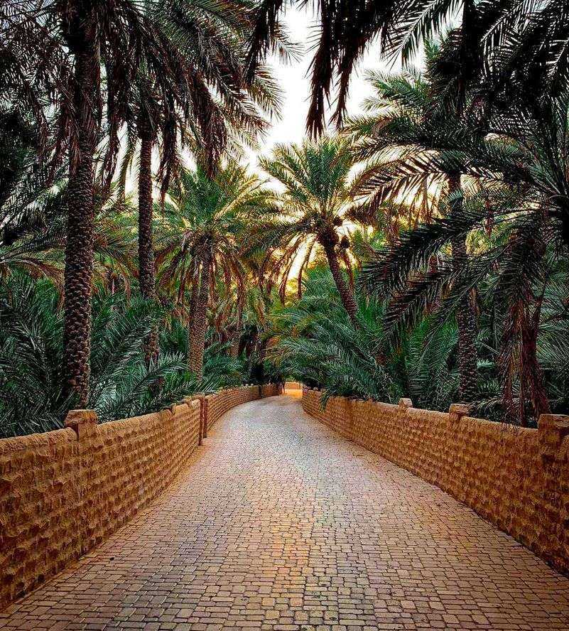 Al Ain Oasis Abu Dhabi