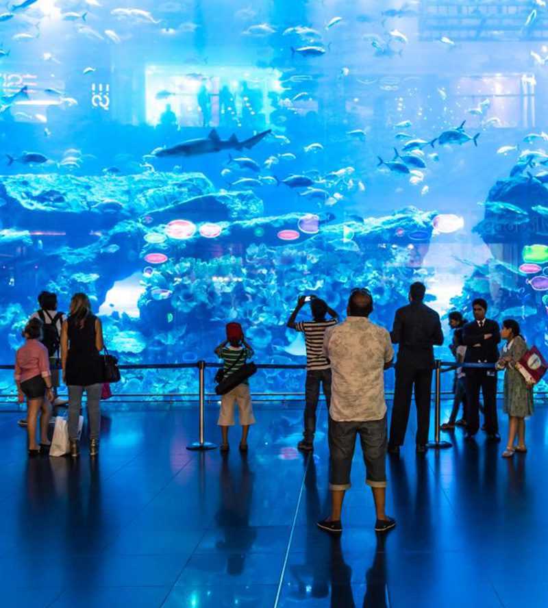 Dubai Frame Woman embracing the city skyline with open arms-