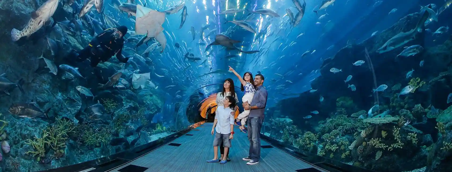 Your Dubai Guides, Nach Dubai Reisen - Dubai mall Aquraium & Underwater Zoo