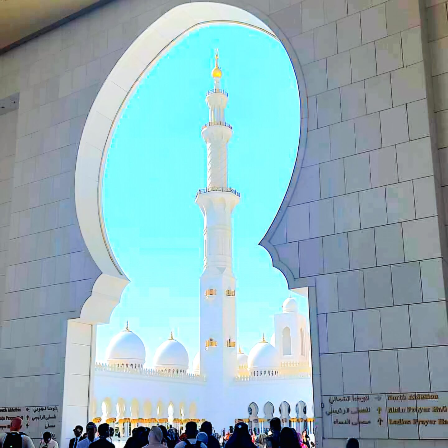 IMG_20241206_141028_302 (١)