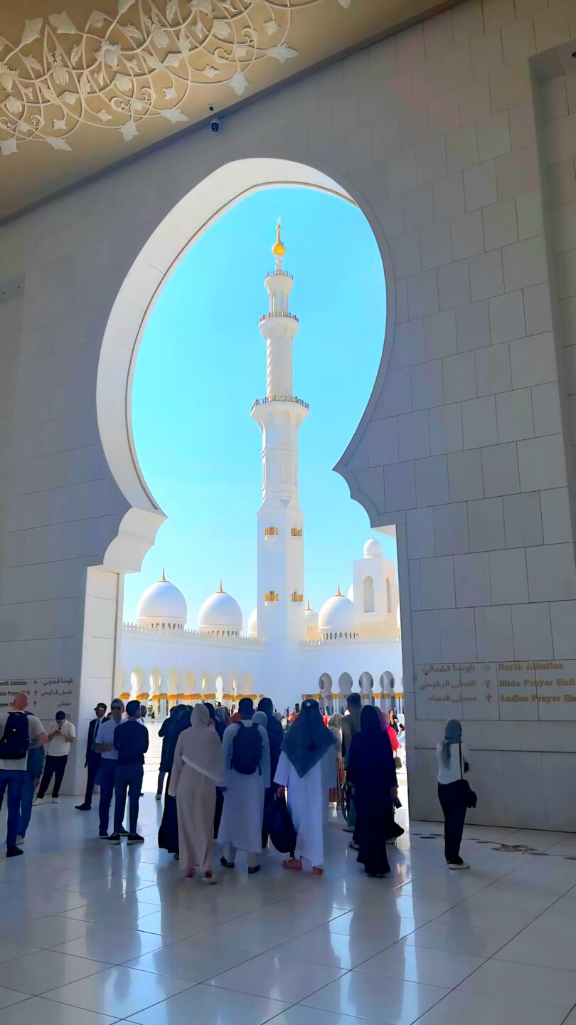 IMG_20241206_141028_302 (١)