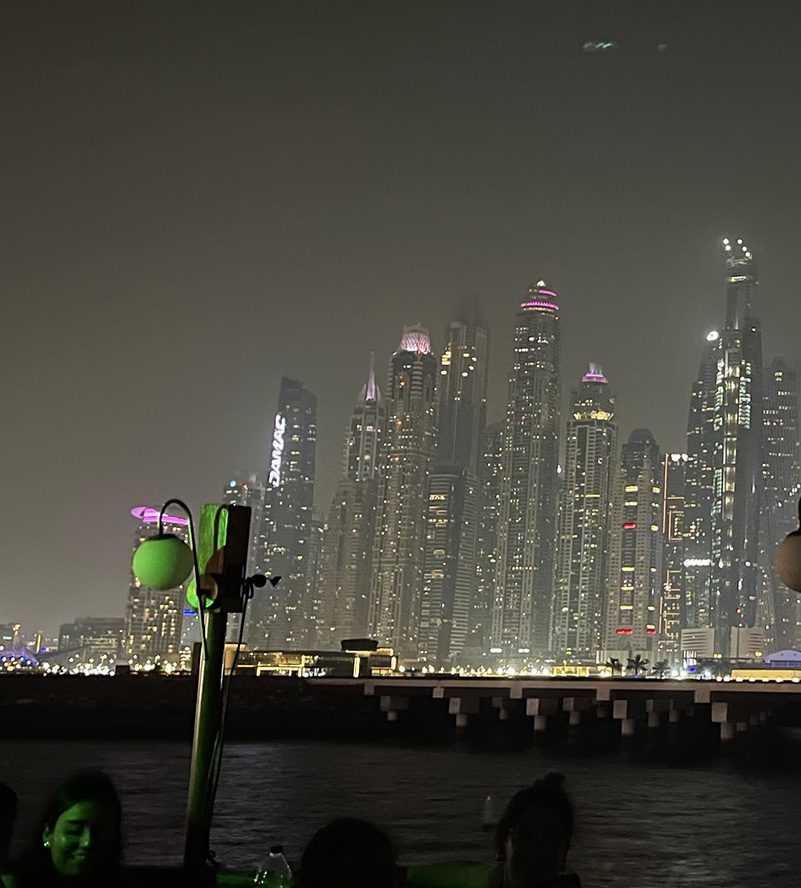 People enjoying the cityscape from a boat-Dhow Cruise Dubai