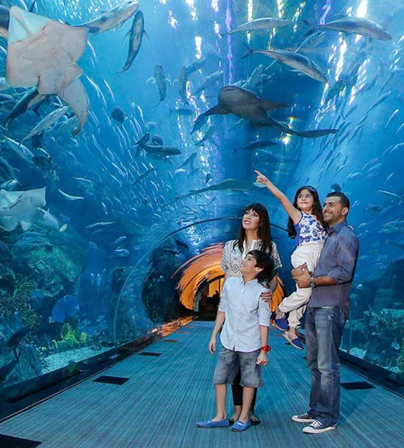 The Atlantis Hotel in Dubai, a luxurious waterfront resort with stunning architecture and breathtaking views