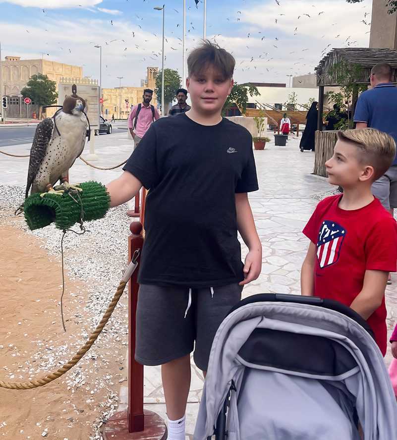 The View at the Palm2