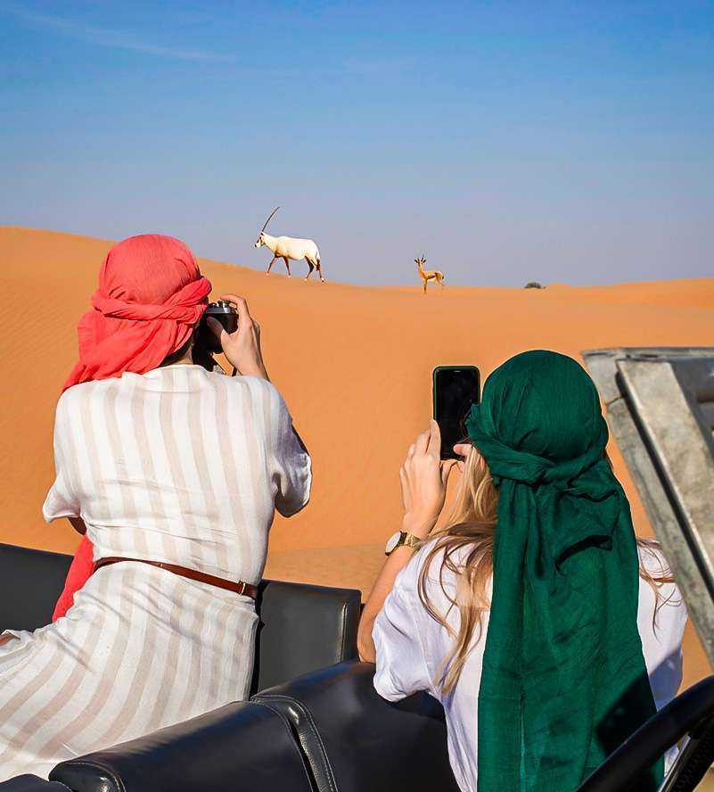 Begeben Sie sich auf eine 60-minütige Natursafari.