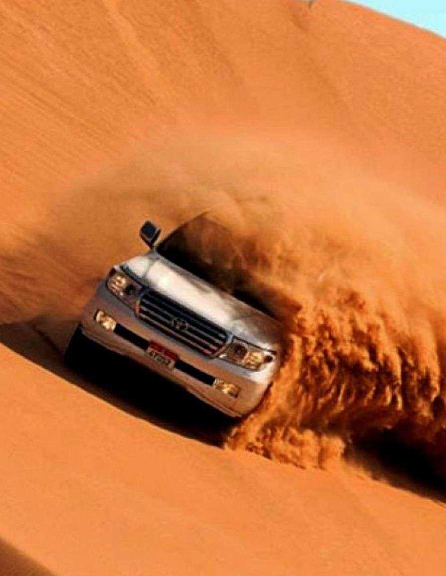 Abu Dhabi Wüstensafari, a car driving through sand Abu Dhabi United Arab Emirates