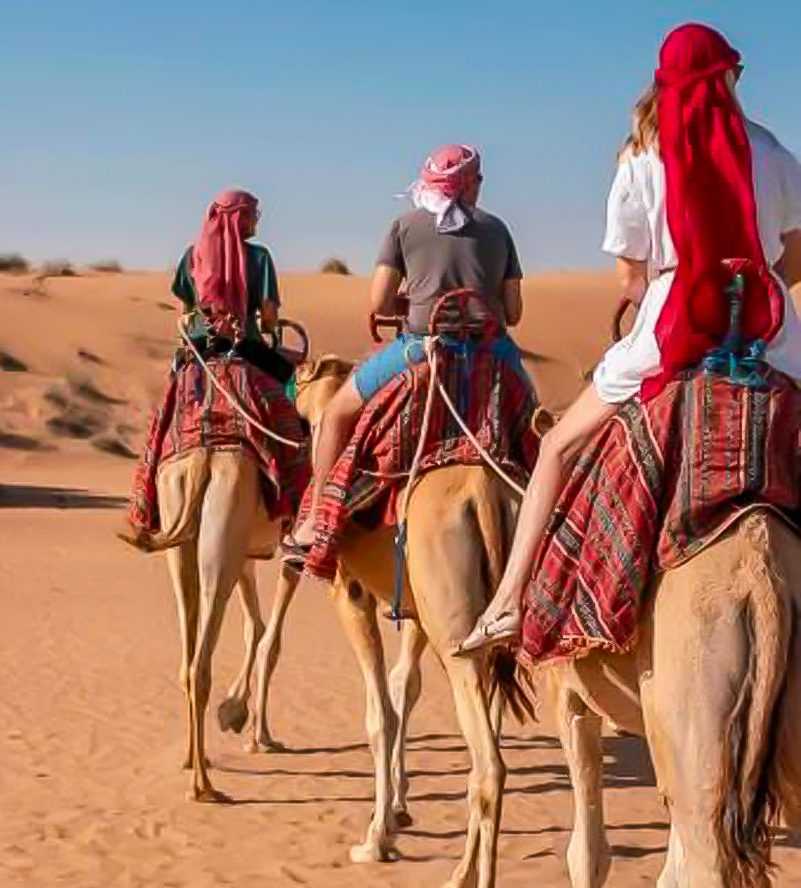 Kamelritt bei der Morgensafari in der Wüste – ein traditionelles Erlebnis in den Dünen von Abu Dhabi.
