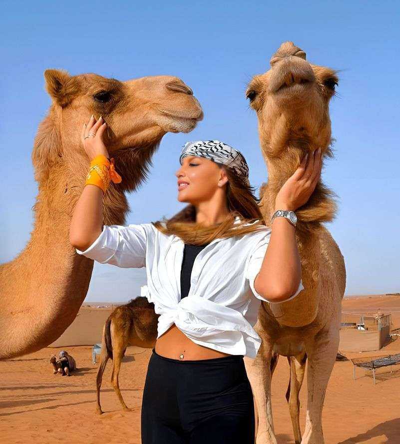person with a headscarf and two camels
