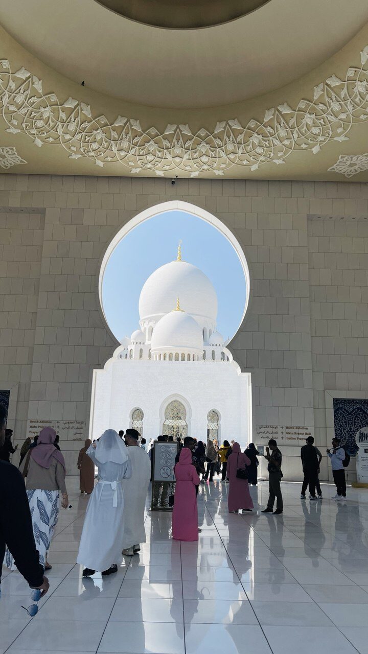 photo_5879867420468513810_y