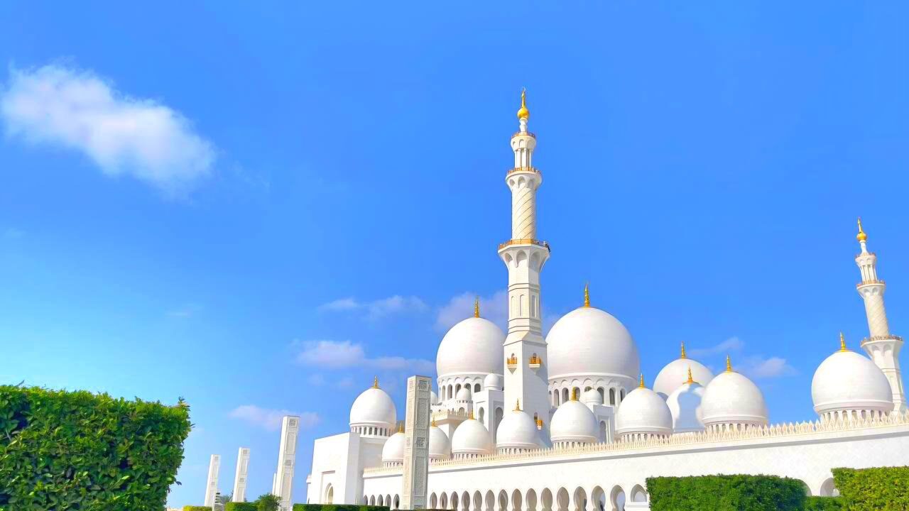 photo_5879867420468513849_y - Copy