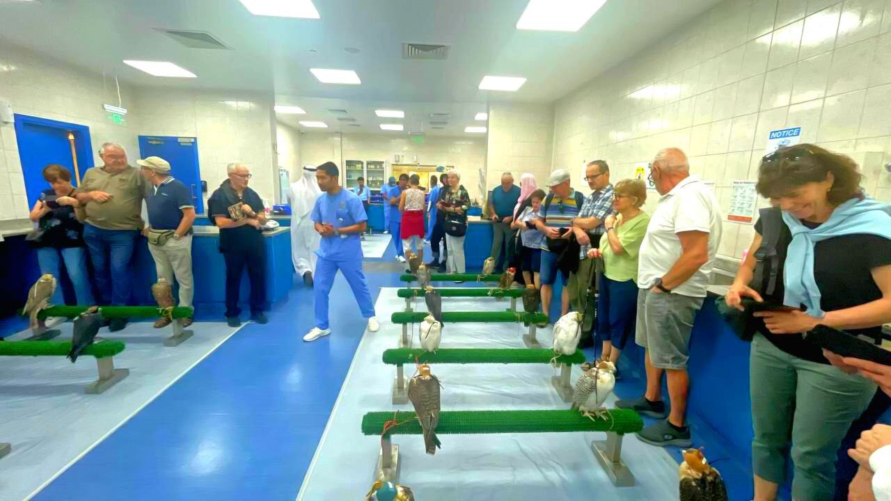 Das weltweit größte Falkenkrankenhaus in Abu Dhabi – Zentrum für Schutz und Pflege der Nationalvögel der VAE.
