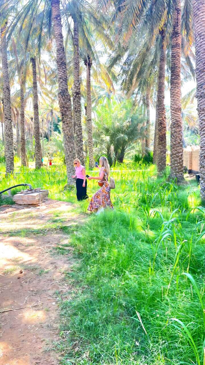 Al Ain Oase – die größte Oase in der Stadt Al Ain, Emirat Abu Dhabi, VAE, beliebtes Touristenziel und kulturelles Highlight.