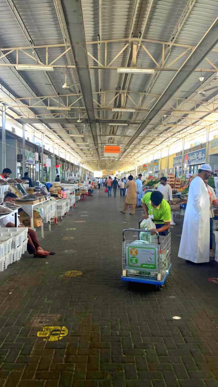 photo_5879867420468513901_y