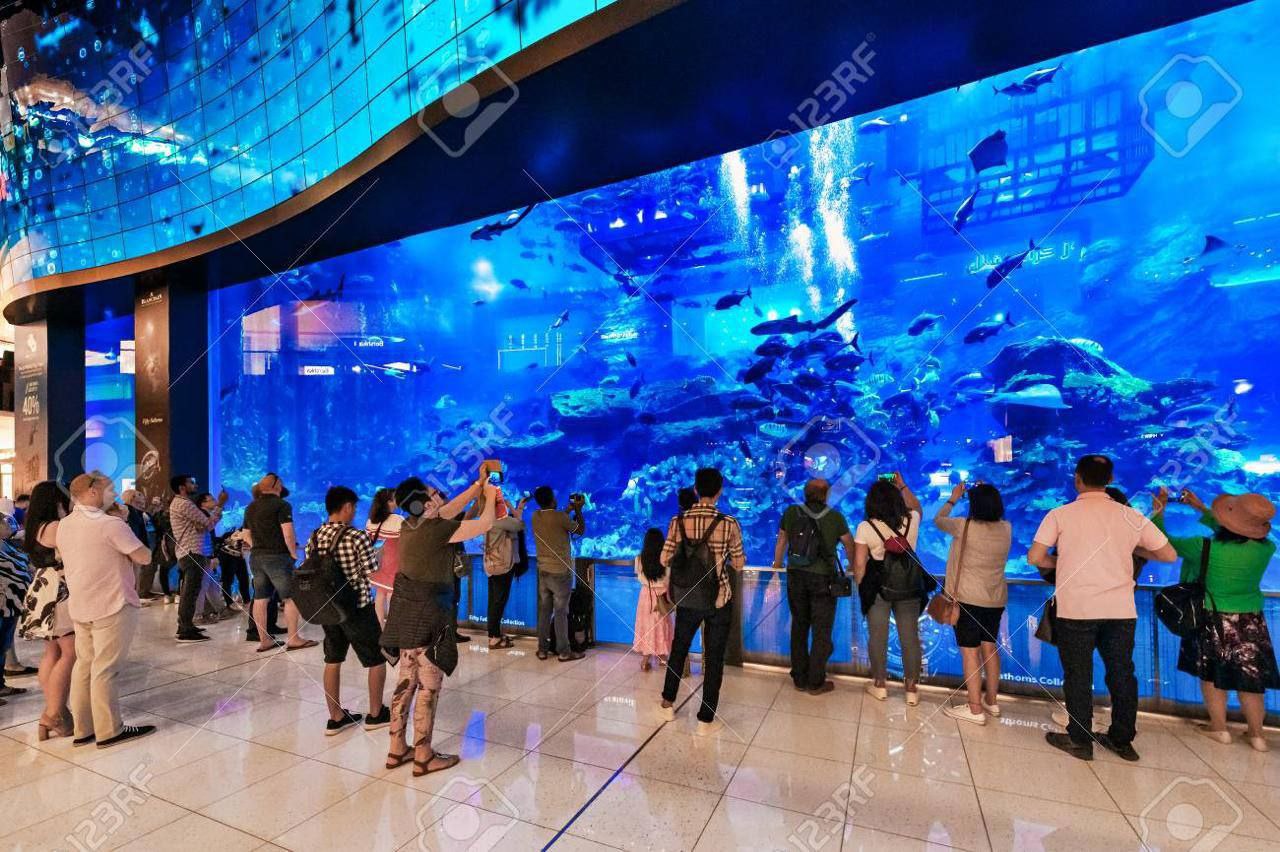 photo_5882119220282198919_y (1)