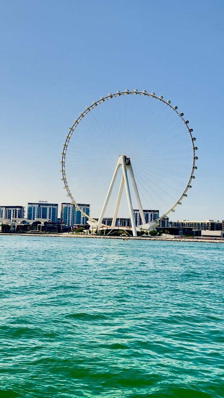 photo_5886709780112411783_y