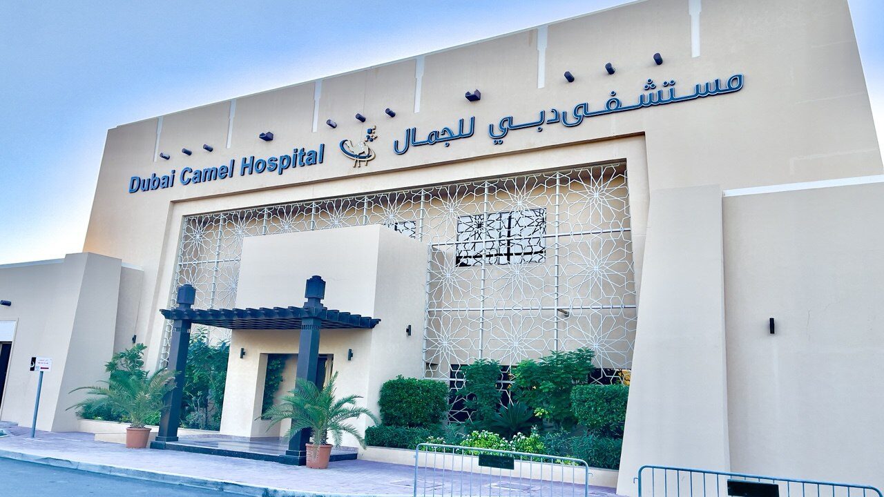 photo_5886709780112411854_y