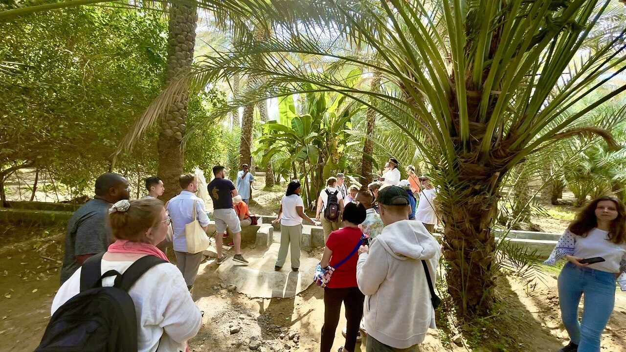 Al Ain Oase – die größte Oase in der Stadt Al Ain, Emirat Abu Dhabi, VAE, beliebtes Touristenziel und kulturelles Highlight.