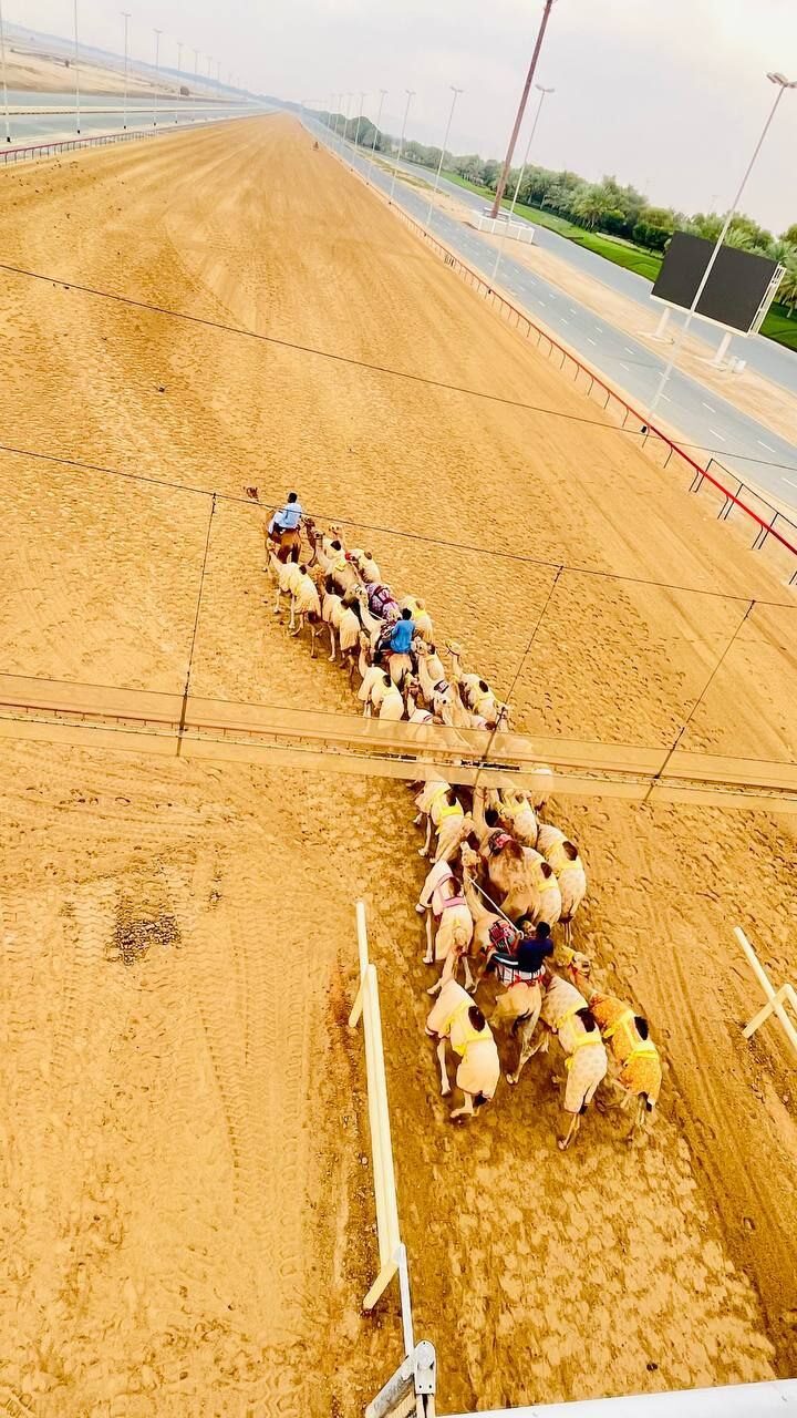 photo_5886709780112411875_y (1)