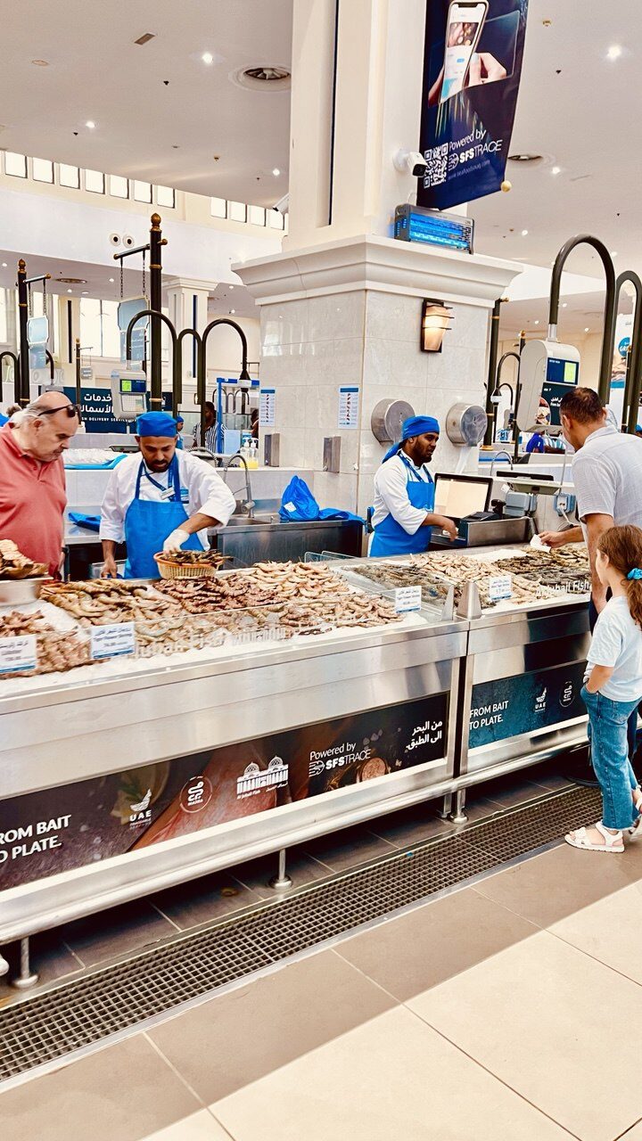 photo_5886709780112411893_y