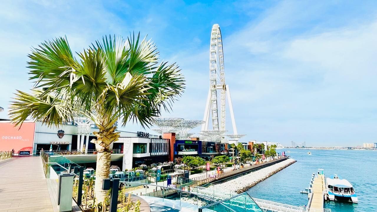 Ain Dubai – das höchste Riesenrad der Welt auf der künstlichen Insel Bluewaters Island, spektakuläres Touristenziel und beliebte Attraktion in Dubai, VAE.