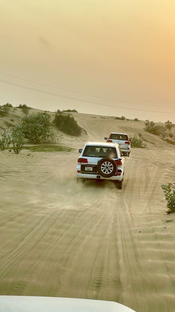 Die beliebte Wüstensafari in Abu Dhabi – aufregende Abenteuer in den Sanddünen.