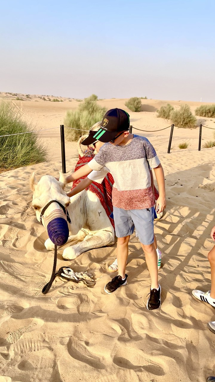 Ein Kind streichelt ein Kamel nach einem kurzen Kamelritt in der Dubai-Wüste – authentisches Wüstenerlebnis, perfekte Fotomomente und echtes Beduinen-Feeling bei einer Desert Safari in den VAE