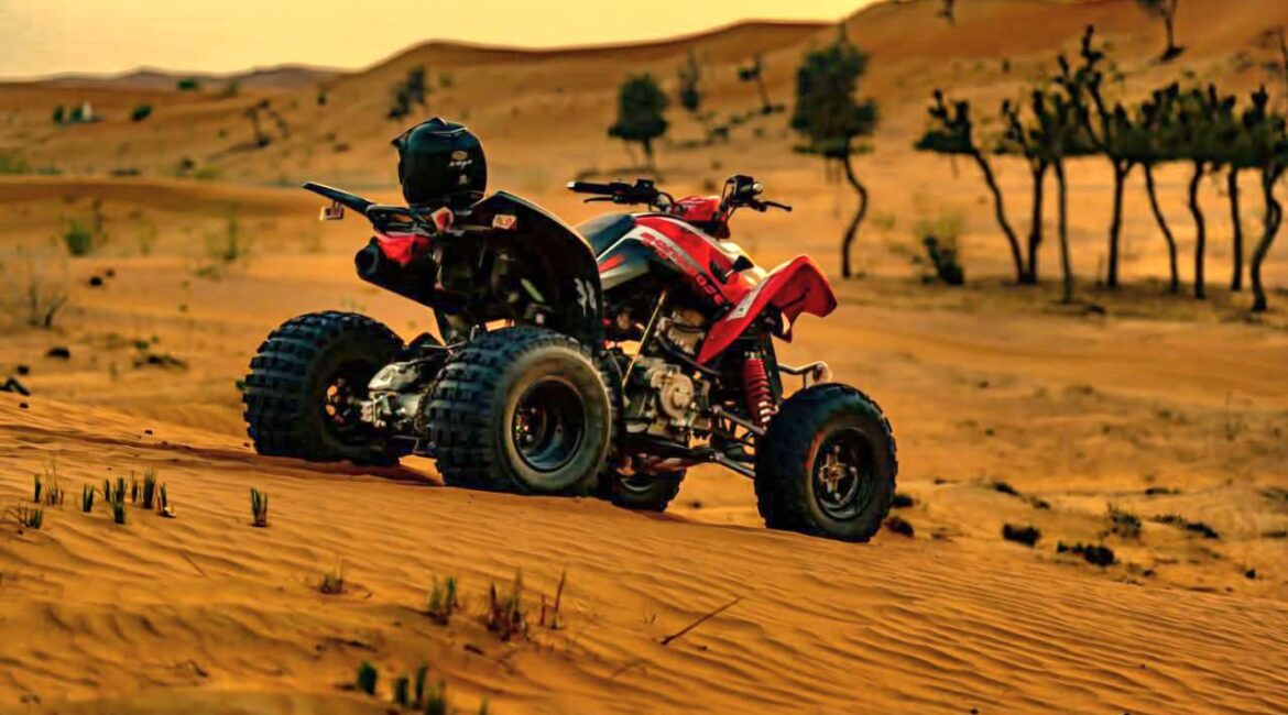 Photo 5900214922522594407 Y 1