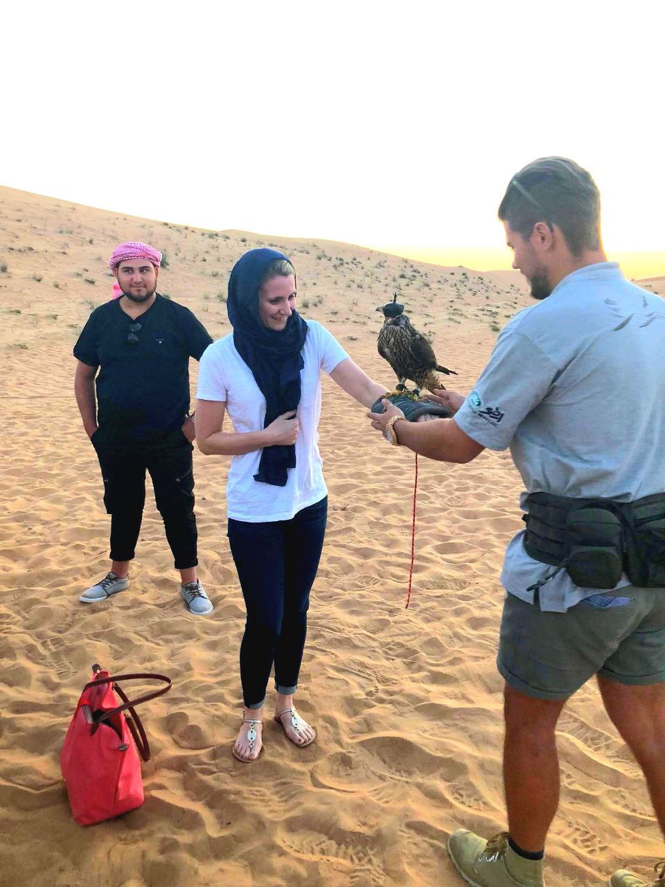 Falkenshow bei der Heritage Desert Safari