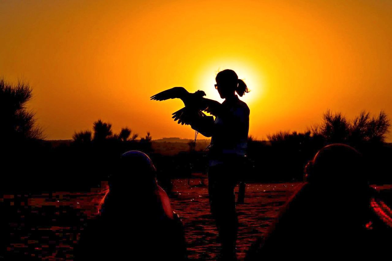 Die Falkenshow bei der Heritage Desert Safari in Dubai