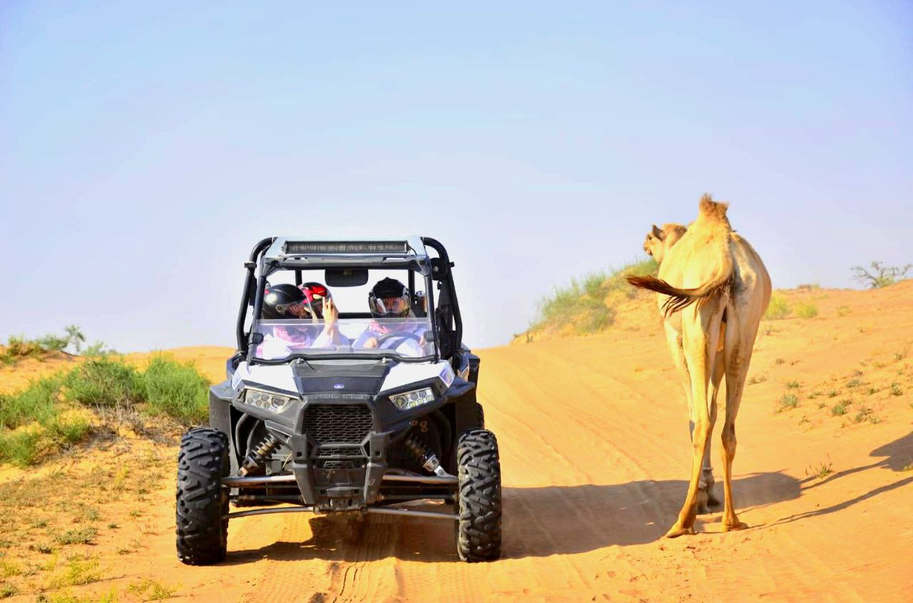 Rasante Dünen-Buggy-Fahrt durch die Wüste Dubais – spannendes Wüstenabenteuer.