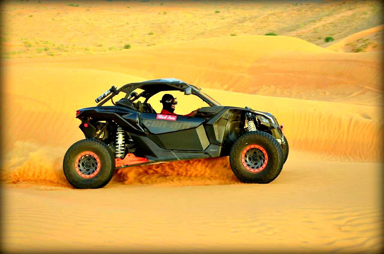 photo_5902466722336279400_y